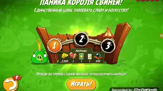 Паника Короля Свиней Angry  Birds 2