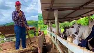 ELA FAZ TODO O SERVIÇO DO SÍTIO E AINDA TRATA DO GADO NO CONFINAMENTO