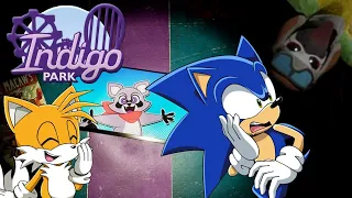 WHAT IS WITH THIS PLACE?! Sonic & Tails Visit Indigo Park!