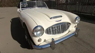 Austin Healey 100 6 Walkaround