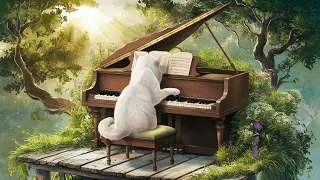 【Relaxing Piano】Lo-Fi Cat - Elegant Nature #lofi #cat #relax #piano #music