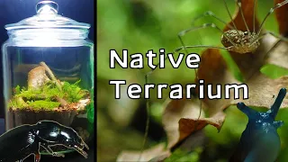 Forest Floor Ecosystem in a Jar │ Creating a Closed Native Terrarium