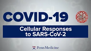 COVID-19 Symposium: Cellular Responses to SARS-CoV-2 | Dr. Michael Betts