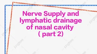 Nerve supply and lymphatic drainage of nasal cavity