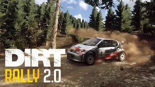 When in doubt... || Peugeot 206 RALLY || DiRT Rally 2.0 || 4WD up to 2000cc