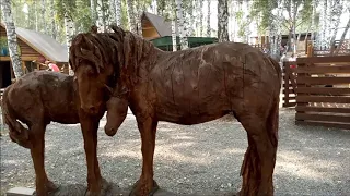 Сельский парк Околица под Томском. Чудо области! Наше летнее путешествие 2019