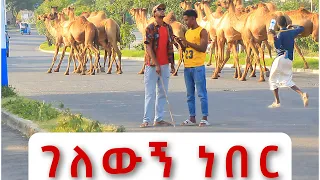 አፋሮችን እስከመጥራት ያደራሰው አስቂኝ ፕራንክ Habesha Prank | Davi Funny 2023