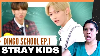 Watching Dingo School Stray Kids Maknae's sexy dance that he learned from hyungs! REACTION