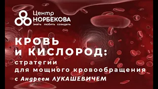 Открытый вебинар "КРОВЬ И КИСЛОРОД: стратегии для мощного кровообращения" с Андреем Лукашевичем