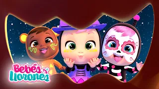 Dibujos Infantiles de Halloween 🎃 Bebés Llorones Lágrimas Mágicas 💕 Dibujos para niños en español