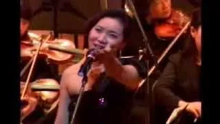 Cat's Memory - New Year's Eve Concert - Diva Rose Jang LIVE