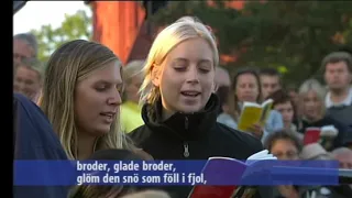 Sommar, sommar, sommar - Carola Häggkvist - Allsång på Skansen 2002