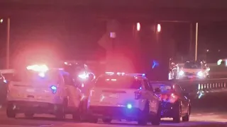 Man shot and killed on Bishop Ford Freeway in south Chicago suburbs