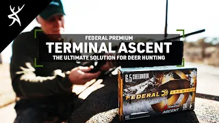 Deer Hunting in Texas: THE ULTIMATE SOLUTION with Federal Premium Terminal Ascent Rifle Ammo