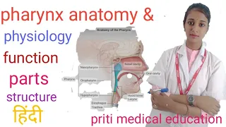 pharynx anatomy & physiology in hindi | part 5 || structure // function || Walls || parts