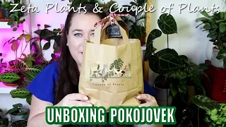 Malý unboxing pokojovek  od českých prodejců