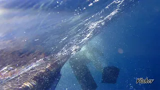 Spearfishing Croatia, Oleg Vlahov, 6.2019.