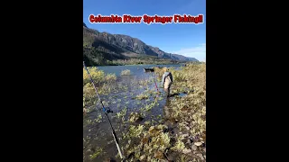 Columbia River Spring Salmon Fishing