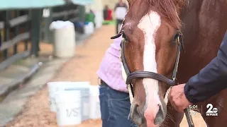 First Mission scratched from Preakness, Bob Baffert returns to Pimlico