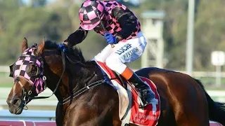 Trevor Patel Win At Australia | Only Indian Jockey Who Won Race In Australia.