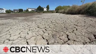 2022 was 5th-warmest year on record: European climate group