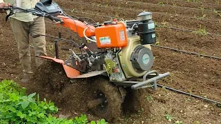 12hp power weeder|power weeder shrachi|power weeder bed making|power weeder ginger farming #viral