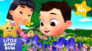 Baby Max's Garden of Colours | ⭐ Baby Songs | Little Baby Bum Popular Nursery Rhymes