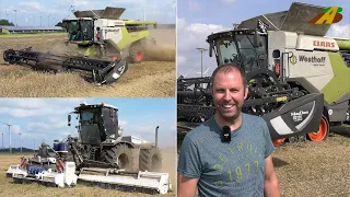 Getreideernte 2022 Mähdrescher Claas Lexion, Traktor Xerion 5000 vom Lohnunternehmer Landwirtschaft