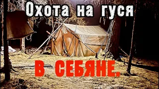 Охота на гуся в Себяне. Гуси пролетели... Не добыли.