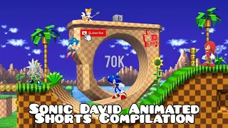 Sonic David Animated Shorts Compilation (70K Sub Special!)