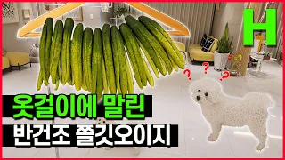 오이를 말리면 매일 생각나는 맛의 오이지가 됩니다 여름오이도 OK! 반건조 오이지 만들기