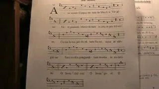 AVE VERUM, Sequenza gregoriana, Studio sullo spartito di Giovanni Vianini, Milano, Italia