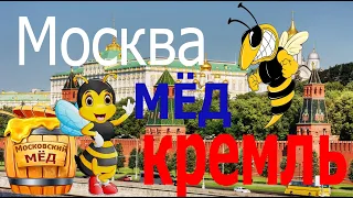 Улей на балконе. Пчелы в московской многоэтажке