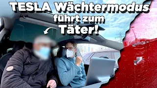 ER begeht FAHRERFLUCHT - Wir schnappen IHN dank TESLA Videobeweis! | Tips, Tricks & More