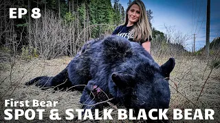 SPOT & STALK BLACK BEAR - FIRST BEAR - RIFLE HUNT