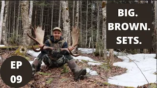 5 Brown Moose Sheds in a Day EP 09 |  Moose Shed Hunting 2022