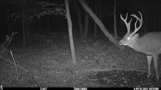 DEER SEASON IS HERE!!! -Ohio early season archery