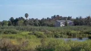 Grand Isle, Louisiana on the Gulf Coast