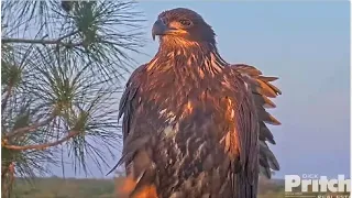 SWFL Eagles ~ FAREWELL E20! 💕 Beautiful Music Tribute ~ Hallelujah!! 5.25.22