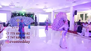Павлин танец Астана