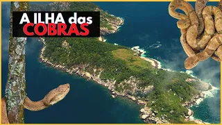 A ILHA DAS COBRAS: Uma das ilhas mais PERIGOSAS DO MUNDO!