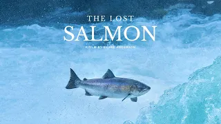 The Lost Salmon | Trailer | Available now