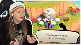 BEING TROLLED BY ANIMAL CROSSING FOR 11 MINUTES STRAIGHT...