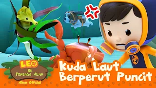 Jangan Sentuh SI KUDA LAUT! 🌊 | Kuda Laut Berperut Buncit | Leo Si Penjaga Alam | #minisode