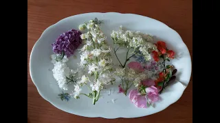 СЪЕДОБНЫЕ ЦВЕТЫ! Пробуем цветы, цветущие в мае, на вкус!