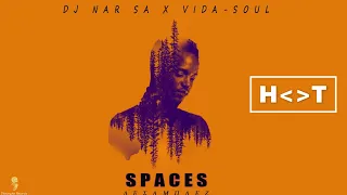 Dj Nar SA & Vida-soul - Spaces (Original Mix)