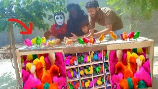 colourful chicks😘 ki puri shop khareed Li || Gorilla 🦍aur Zombie khush ho gaye ||Nadir pets vlog