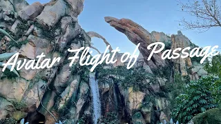 Avatar Flight of Passage Full ride Queue and POV from Disney World's Animal Kingdom.