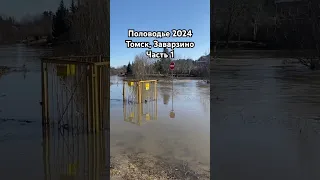 Половодье 2024 Томск, Заварзино