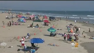 O.C. Lieguards To Remain Vigilant With High Surf, Riptides, Recent Shark Sightings